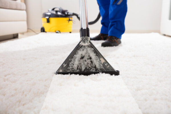 Carpet Cleaning Services