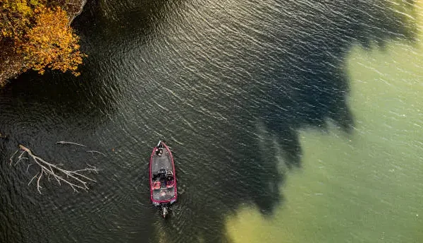 Bass Boat