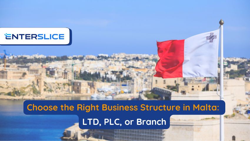 Choose the Right Business Structure in Malta