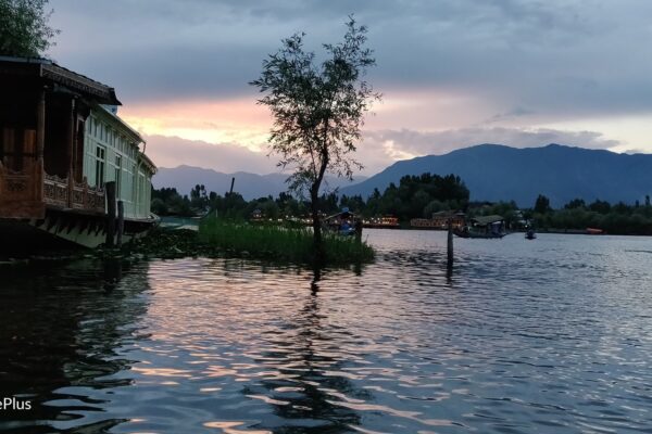 Adventure Awaits: A Scenic Road Trip from Srinagar to Leh