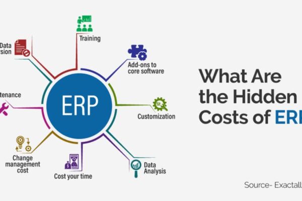 Hidden Costs of ERP