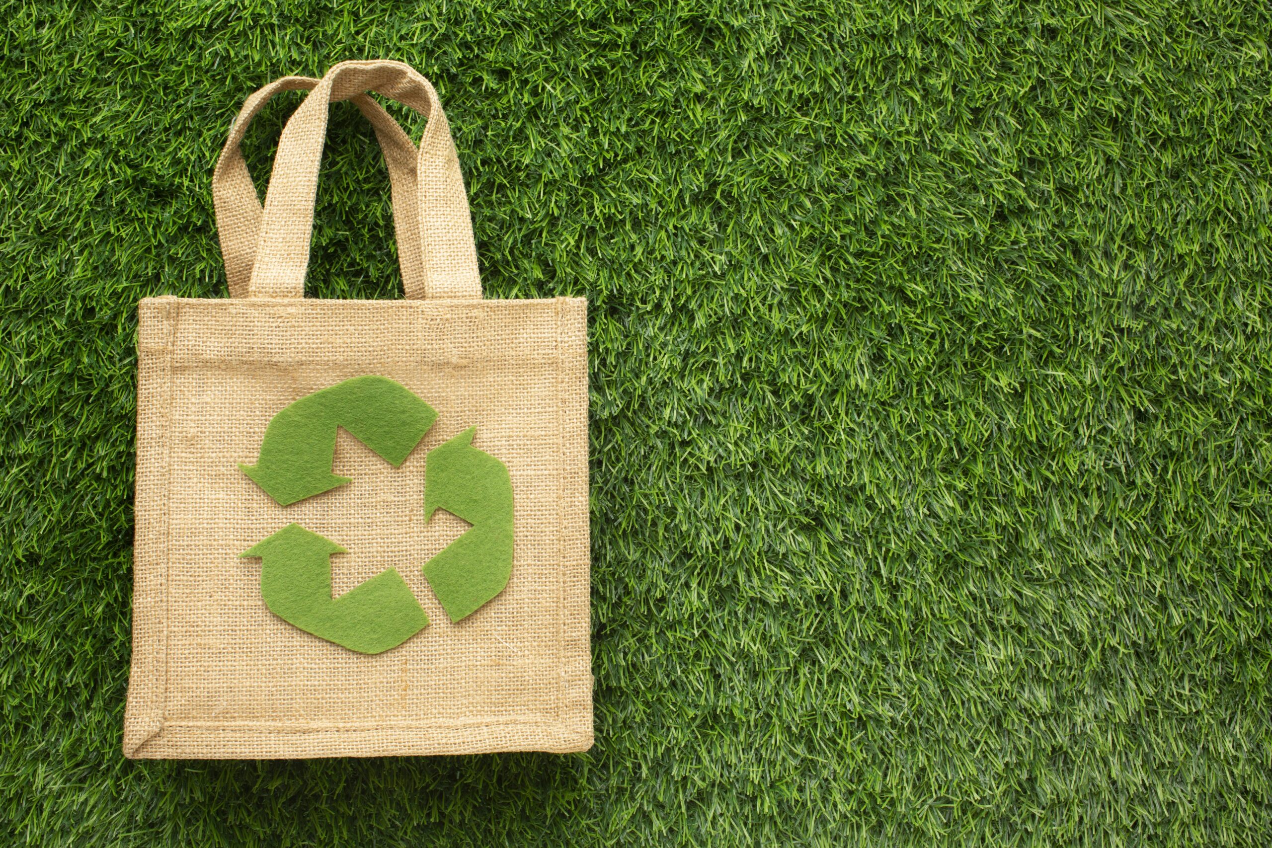 biodegradable bags