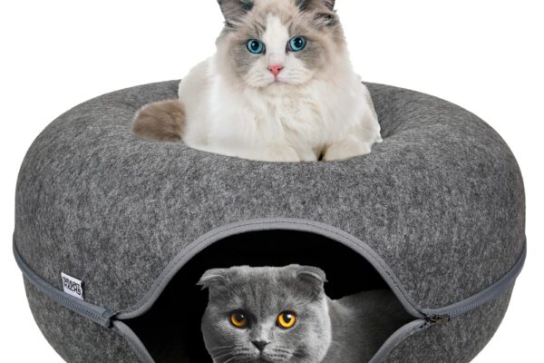 cat donut tunnel