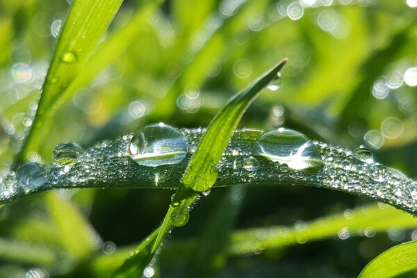 Understanding Dew Point Calculator | A Comprehensive Guide Dew Point Calculator
