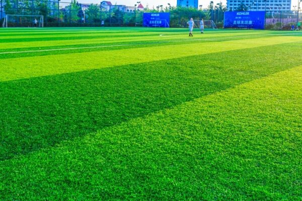 How Do I Find A Reliable Artificial Turf Hire Company In Australia