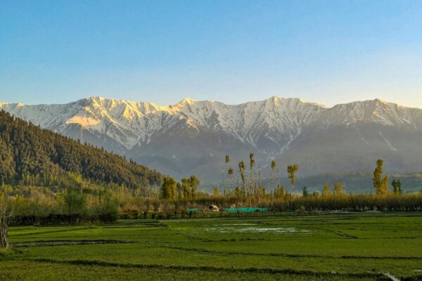 kashmir travel packages