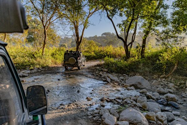 Ranthambore holiday packages