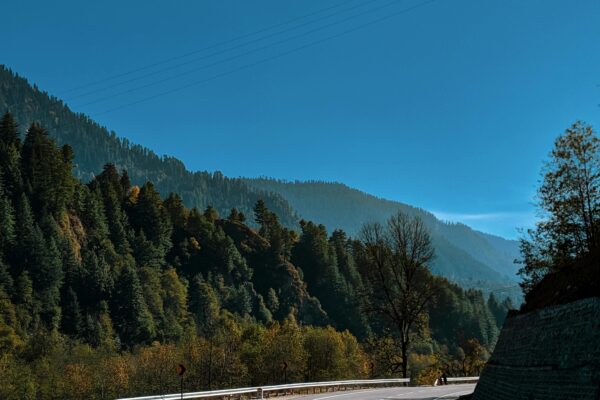 Pristine Peaks Await: Uttarakhand Holiday Package Delights Uttarakhand holiday package