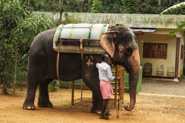 A Soulful Retreat Awaits: Kerala Backwater Tour Kerala backwater tour