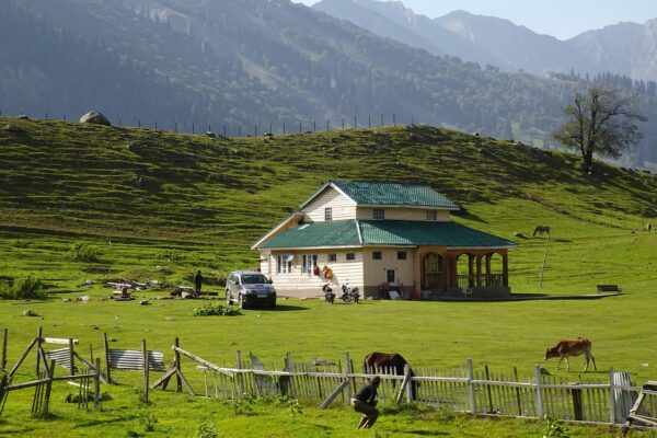Sojourn in Snowy Bliss: Himachal Travel Packages himachal travel packages
