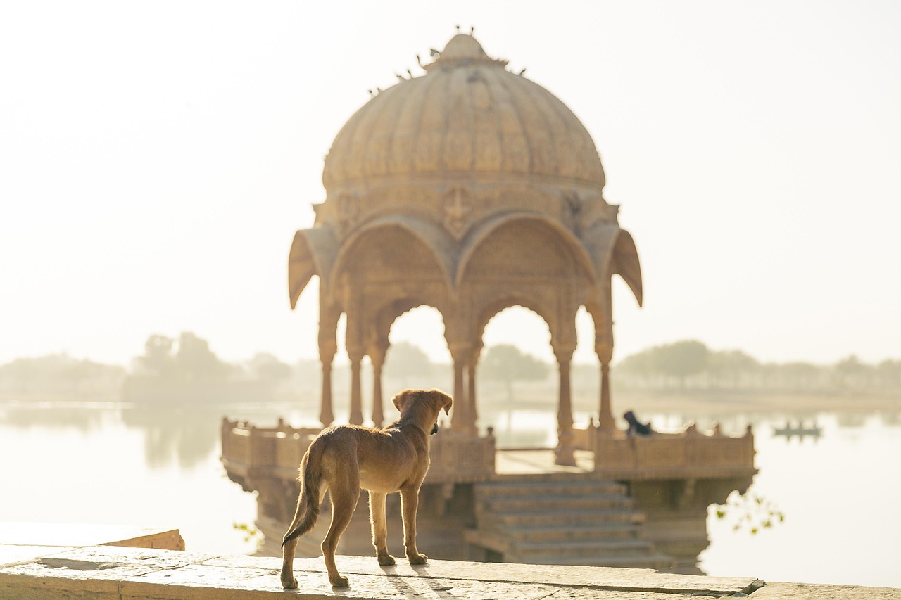 golden triangle tour Delhi Agra Jaipur