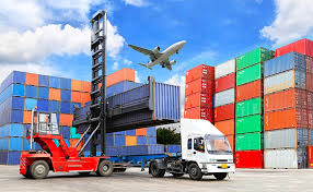 Fast & Reliable Shipping from Germany to Egypt and Japan