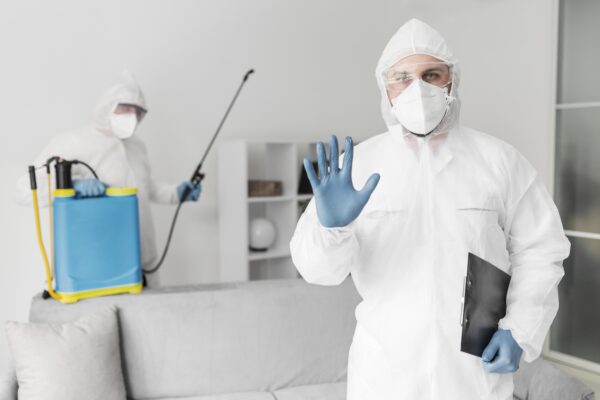 The Role of a seo company for pest control seo company for pest control