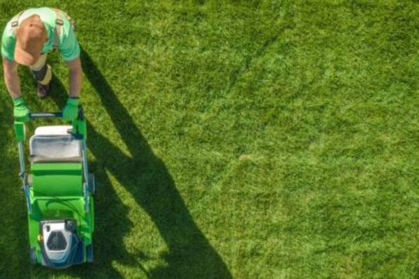 Seasonal Residential Lawn Care Services Every Homeowner Needs Residential Lawn Care Services