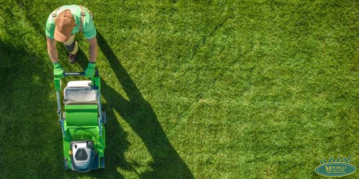 Residential Lawn Care Services