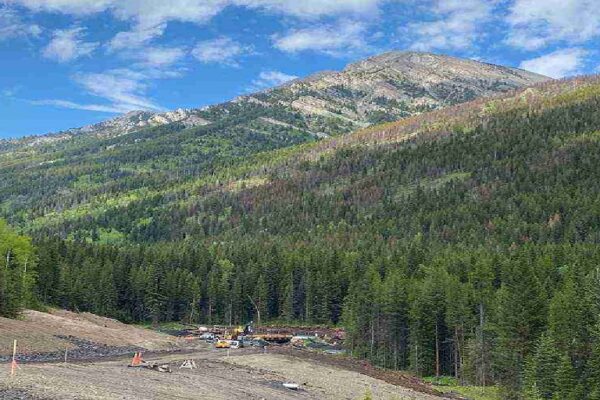 What Land Surveyors Check That Your Contractor Might Miss