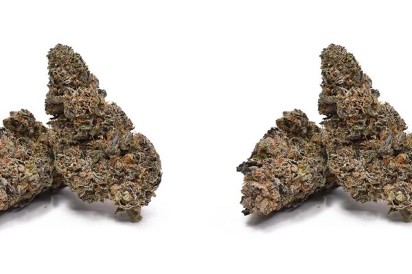 Finding a Dispensary in Virginia That Gets It