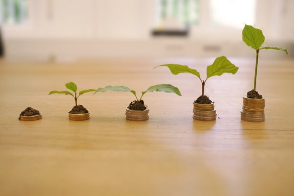 analyzing financial data