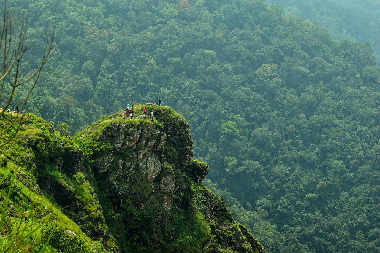 Kerala family packages