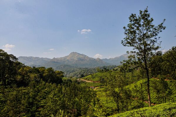 Kerala honeymoon trip