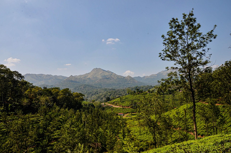 Kerala honeymoon trip