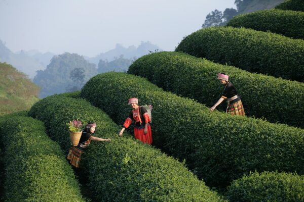 tour operator in Delhi