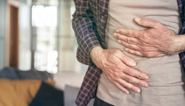 The Connection Between Gut Health And Senior Immunity The Connection Between Gut Health And Senior Immunity