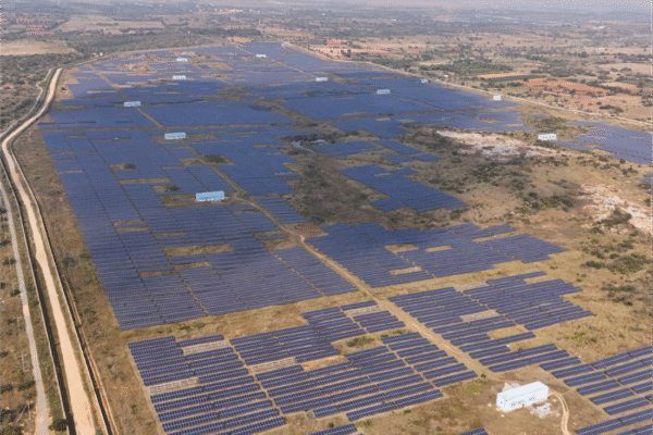 Why Choose a Professional Solar Power Plant Developer in India? solar power plant developer in india