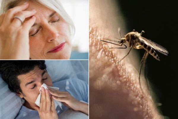 Malaria-Symptoms