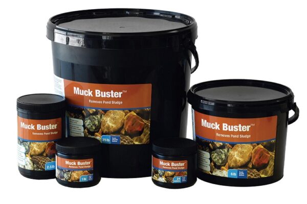 Why Managing Pond Muck Matters More Than You Think for Big Backyard Owners