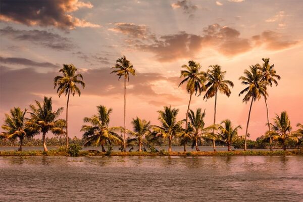 7 Days Yoga and Ayurveda Tour in Kerala