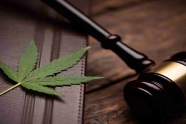 How to Get the Cheapest Medical Marijuana Card Near Me Without Sacrificing Quality or Sanity