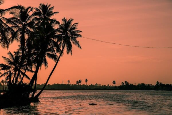 7 days kerala backwater tour