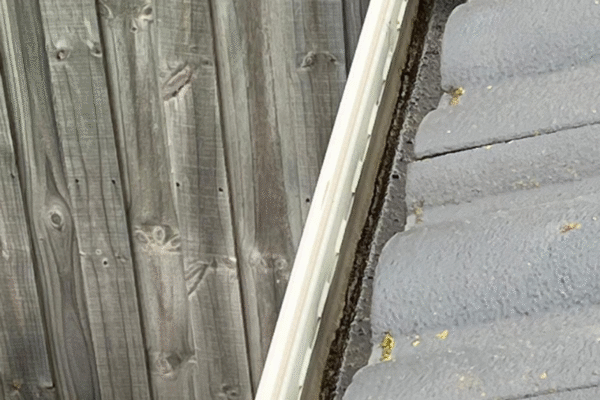 gutter maintenance in Elwood