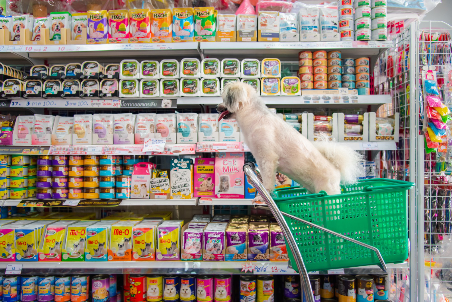 pet food online store
