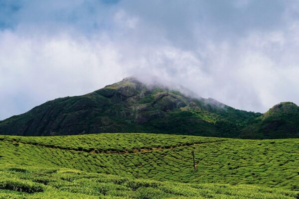 kerala houseboat tours