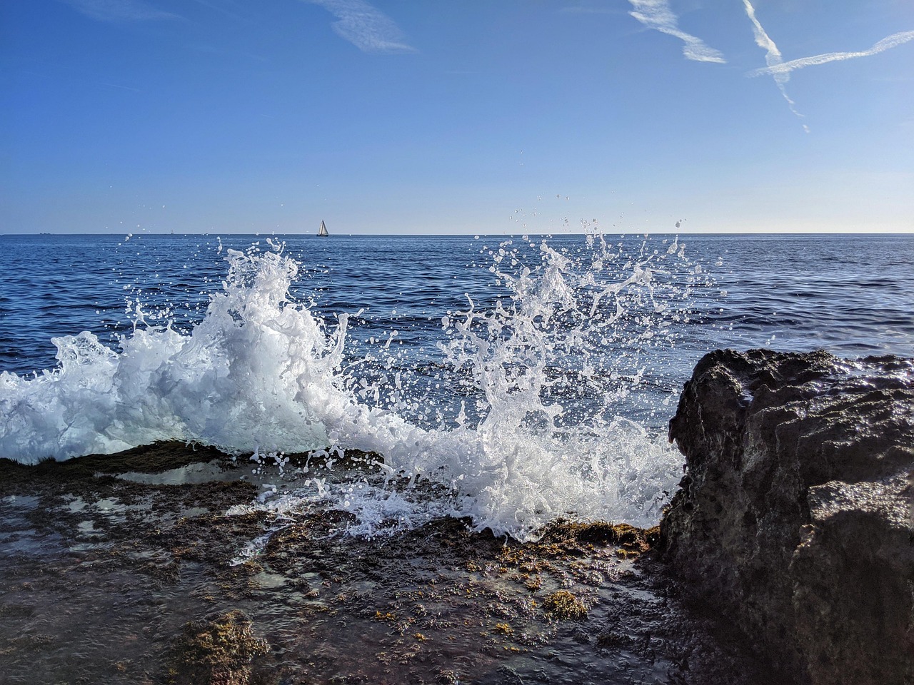 golden triangle with goa tour