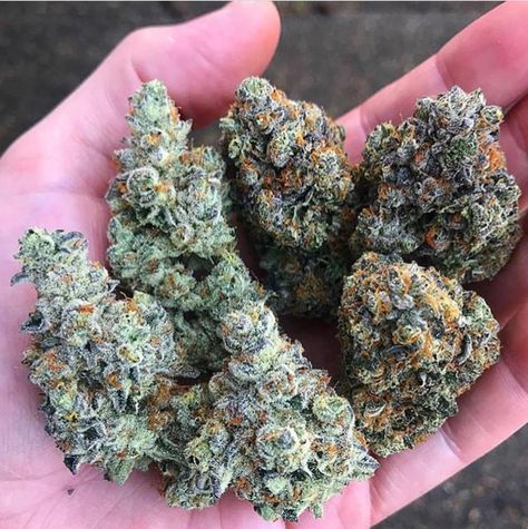 Buy Weed Shake Online