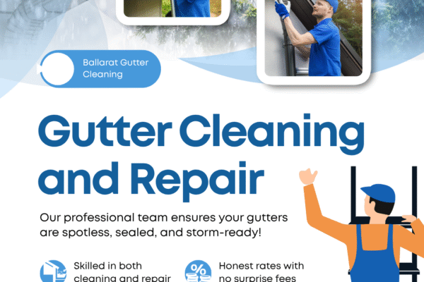 Protecting Your Investment: Professional Gutter Cleaning in Armadale, WA