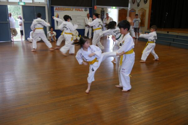 Master the Art of Taekwondo Fairfield: Expert Instructors at Rhee Tae Kwon Do