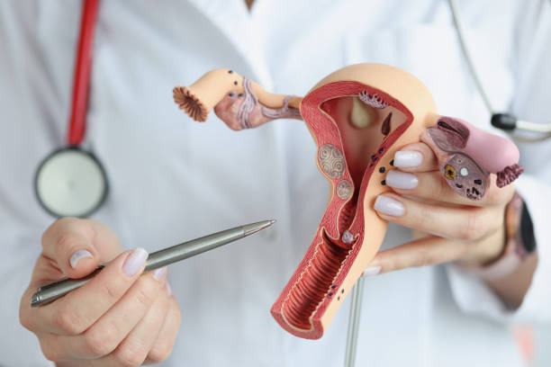 What Makes the Best Aesthetic Gynaecologist Stand Out