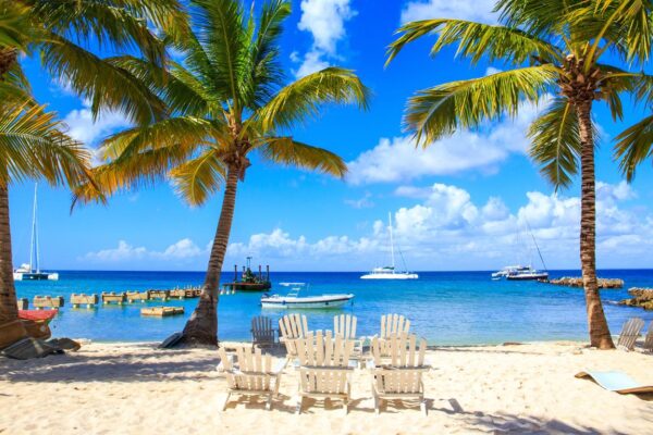 Your Ultimate Guide: Punta Cana To Go – Top Things To Do and See in 2025