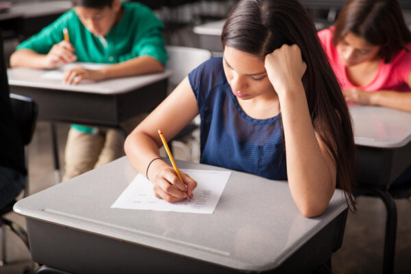 naplan practice tests