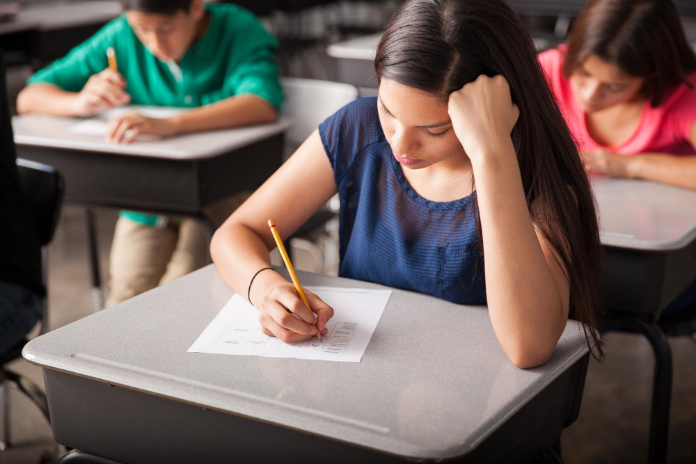 naplan practice tests