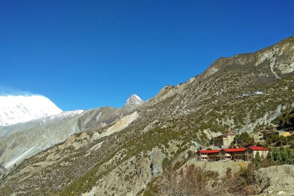 auli uttarakhand package