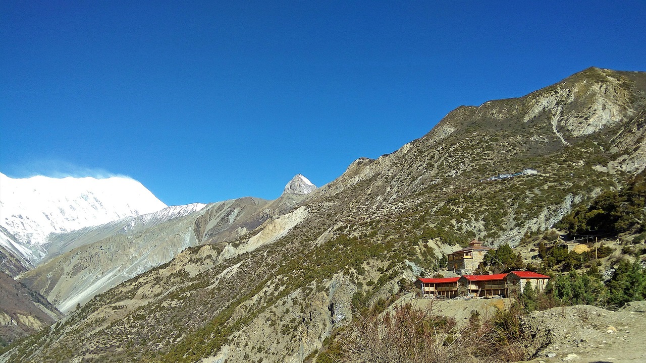 auli uttarakhand package