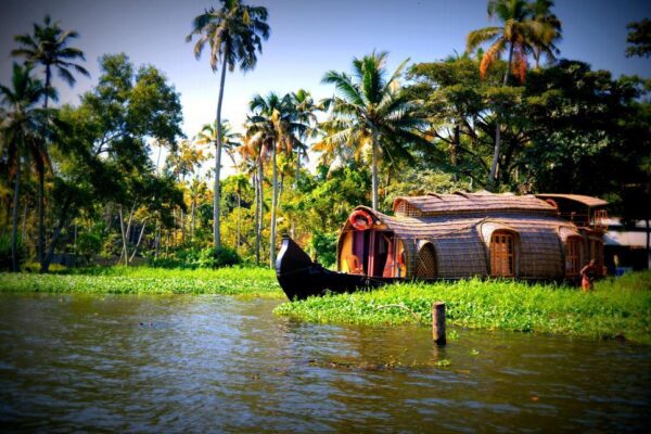 7 days Private Kerala Tour from Kochi